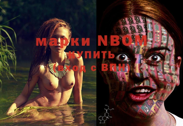 сатива Алексеевка
